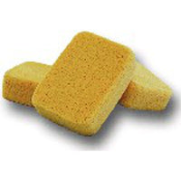 Boat Sponge